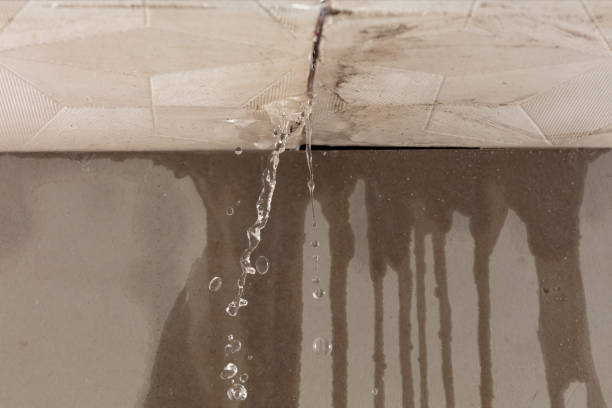 Professional Flood Damage Cleanup technician working in Rosedale, MS